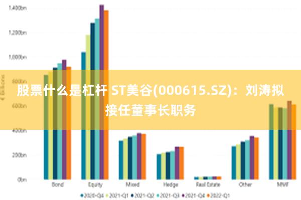 股票什么是杠杆 ST美谷(000615.SZ)：刘涛拟接任董事长职务