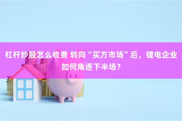 杠杆炒股怎么收费 转向“买方市场”后，锂电企业如何角逐下半场？