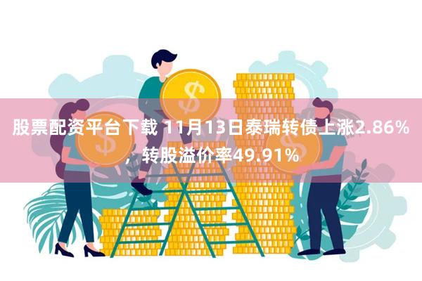 股票配资平台下载 11月13日泰瑞转债上涨2.86%，转股溢价率49.91%