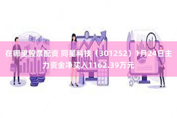 在哪里股票配资 同星科技（301252）1月24日主力资金净买入1162.39万元