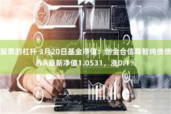 股票的杠杆 3月20日基金净值：创金合信尊智纯债债券A最新净值1.0531，涨0.1%