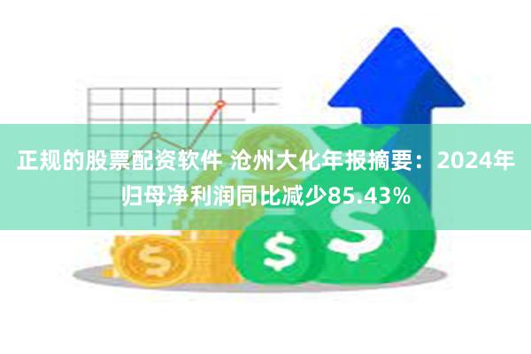 正规的股票配资软件 沧州大化年报摘要：2024年归母净利润同比减少85.43%