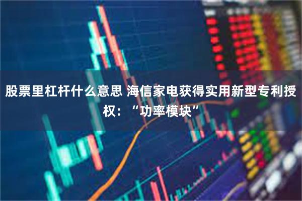 股票里杠杆什么意思 海信家电获得实用新型专利授权：“功率模块”