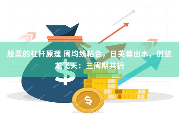 股票的杠杆原理 周均线粘合，日芙蓉出水，时蛟龙飞天：三周期共振